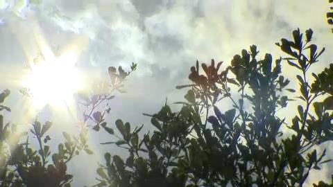 快新聞／今起高溫燒到下週！聖嬰年強颱生成中　專家：影響台灣言之過早