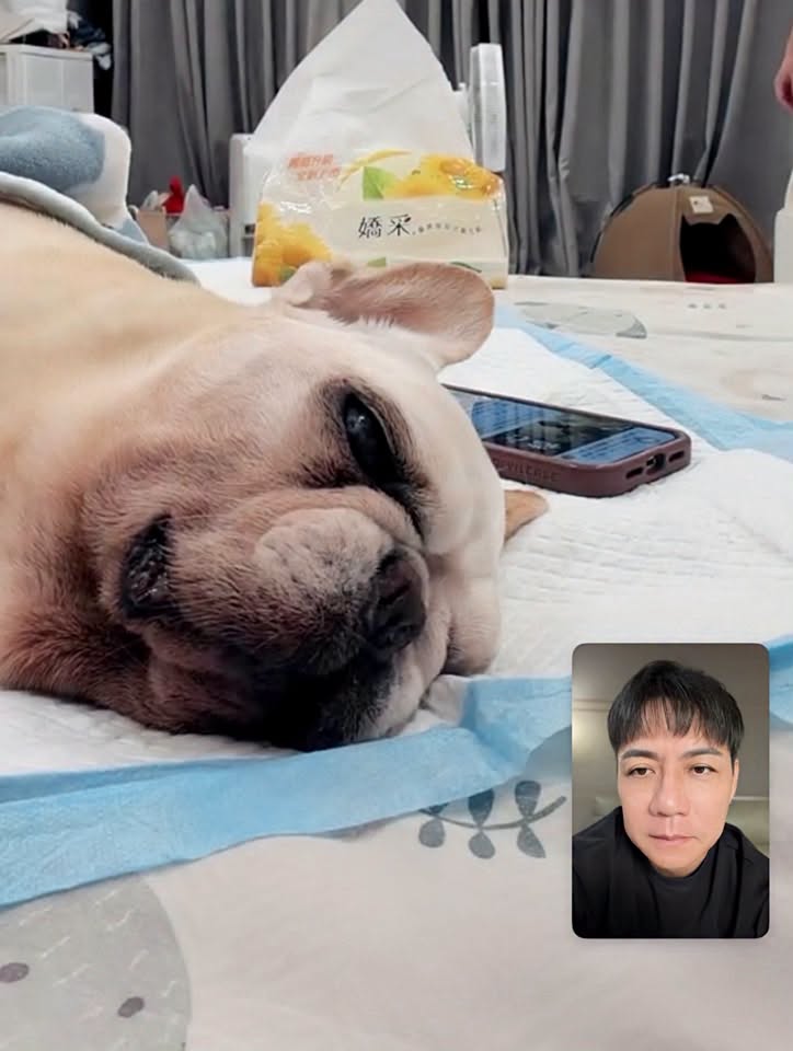 陳隨意「摯愛突病逝」才離開台灣！含淚「視訊道別」悲傷畫面曝：好好投胎