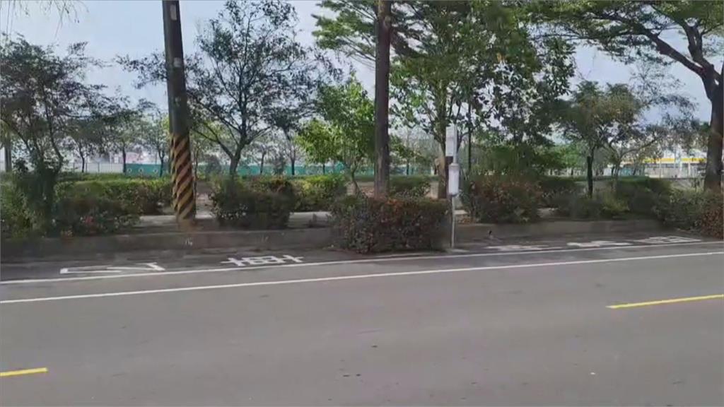 公車停靠區藏樹叢中 民眾投訴:劃設很天真