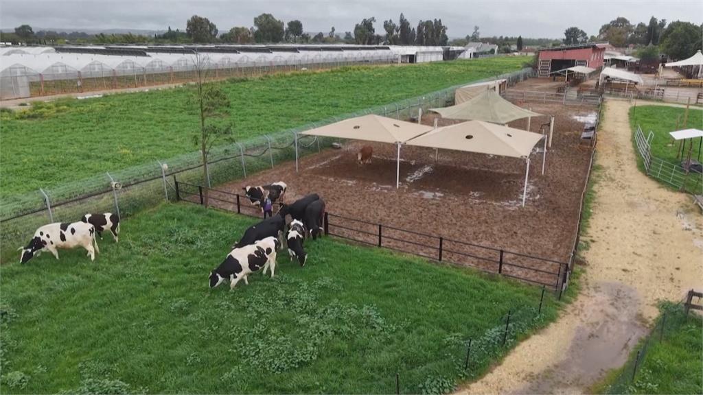 以國防空警報狂響！　農場員工「陷人性掙扎」救自己還是救動物