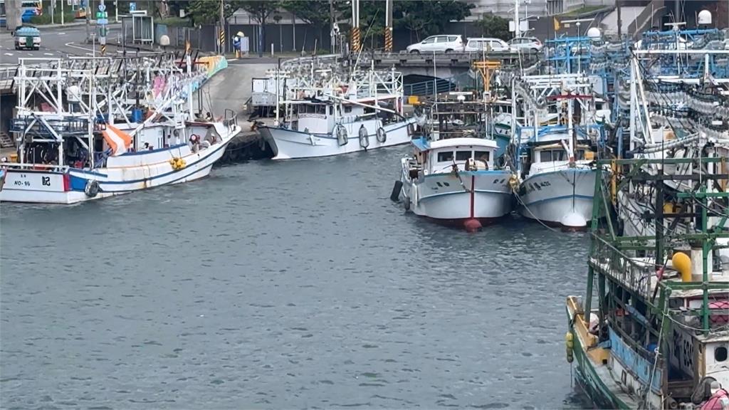 基隆港區「堆積大量漂流木」撞破船 議員:盼爭取天然災害補助