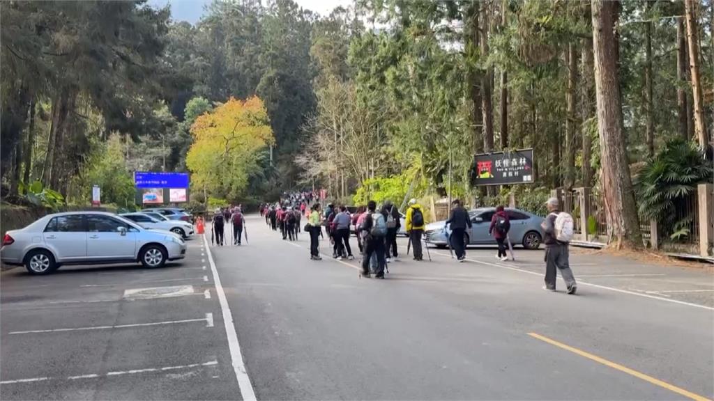 溪頭65歲以上特惠票漲價！　樹木遭洩憤亂塗鴉