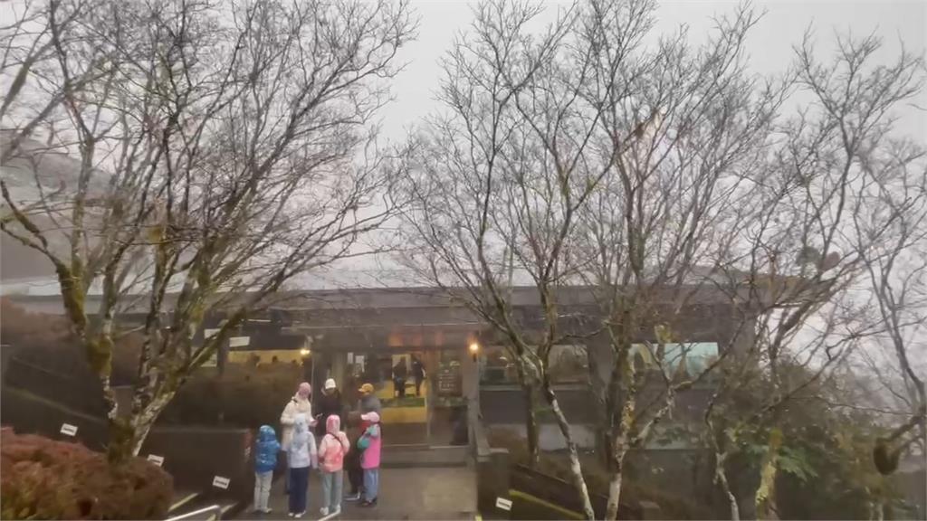 快新聞／還不夠冷！陽明山、太平山暫未降雪　遊客耐心等候中