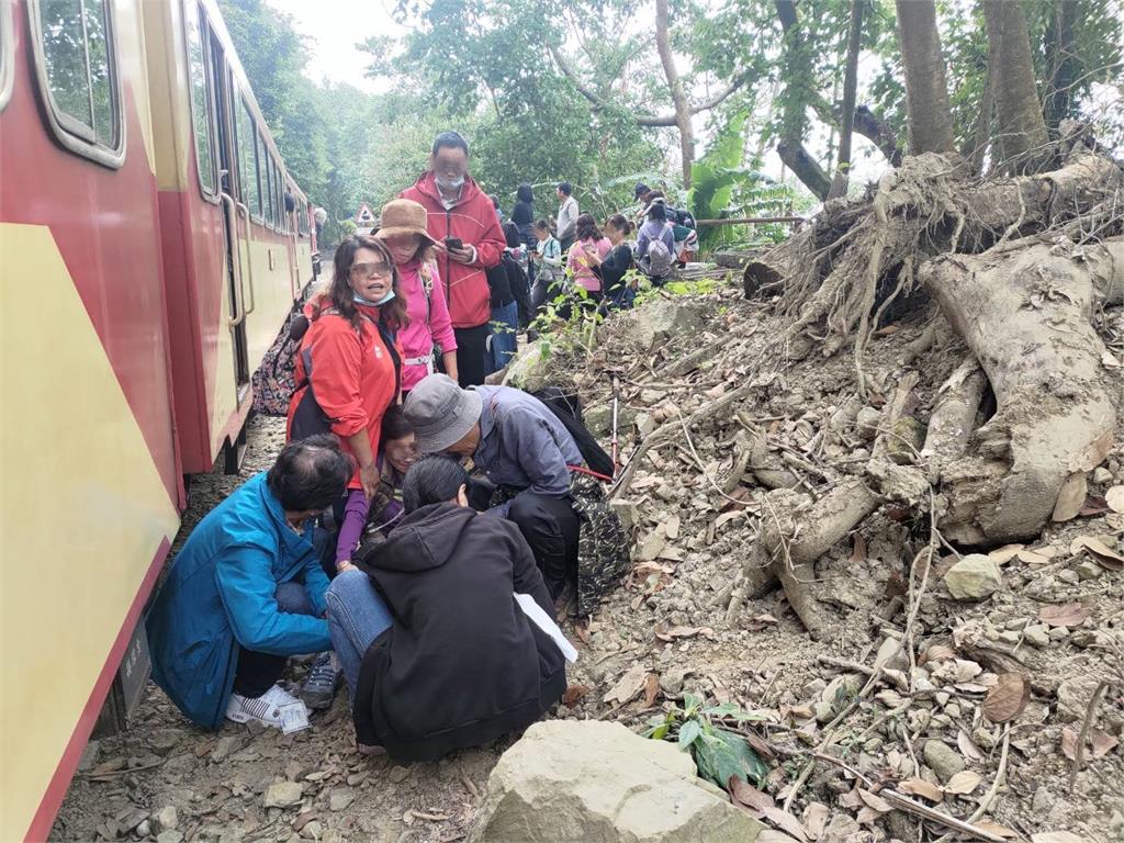 婦人闖阿里山鐵軌搶拍「不甩小火車鳴笛」!下1秒被撞飛…驚悚畫面曝光