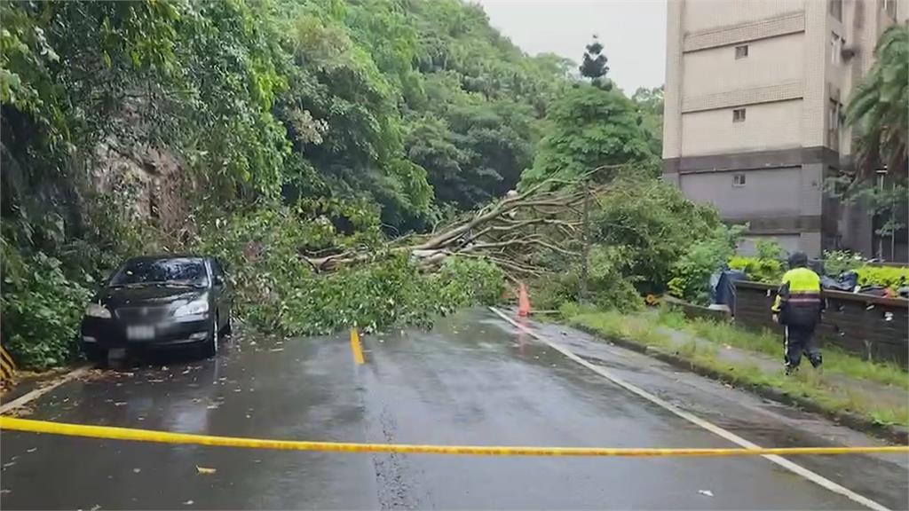 基隆安樂區邊坡土石滑落　大樹砸車女駕駛驚魂