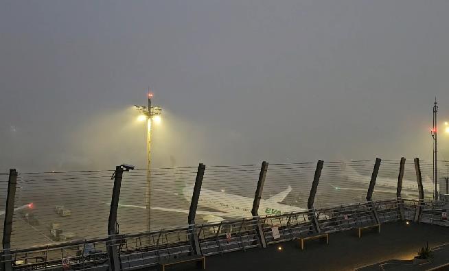 快新聞／出國注意！桃園機場起濃霧　能見度僅100公尺
