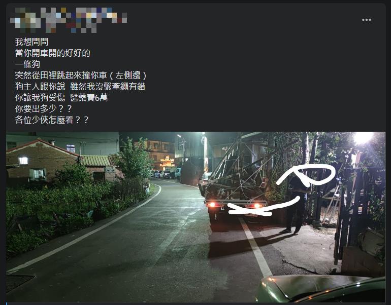 撞到突然衝出的狗!車主、飼主兩派戰翻天 網揭「這1點」是判決關鍵