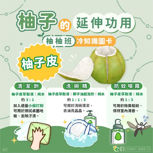 烤肉吃柚「皮」難處理…丟錯恐挨罰!行家曝「1招」變身生活好物
