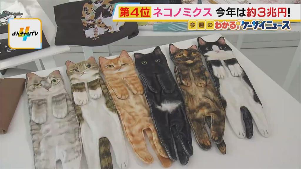 貓奴看過來！喵星人魅力無窮　２／２２定為日本「貓咪日」