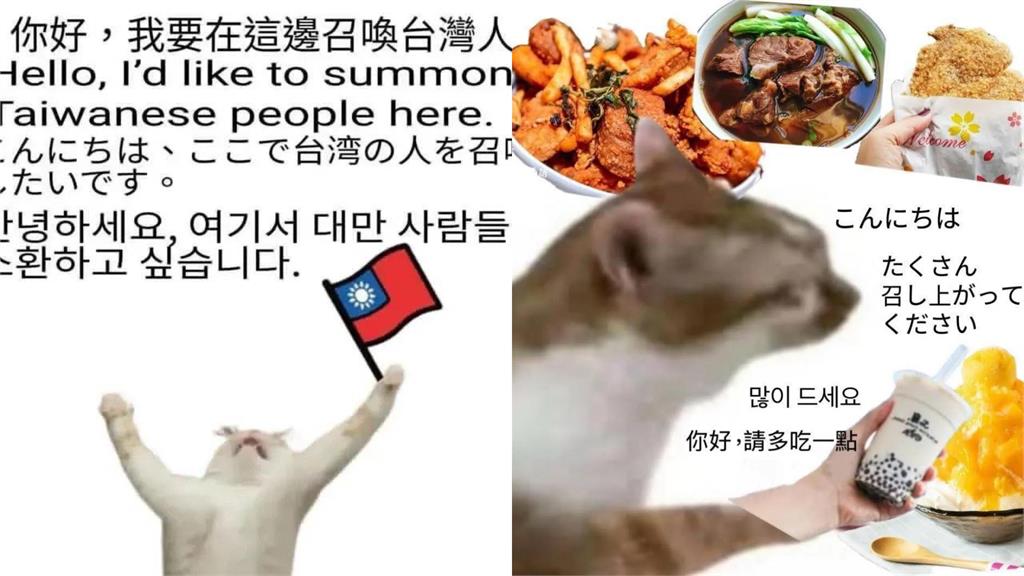 「您好,我台灣人」迷因圖太多!疑引「外國人反感」台網友嘆:存在感刷過頭
