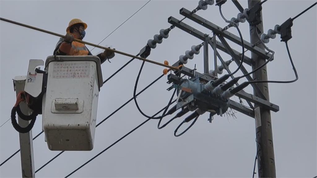台電清除電線桿濕鳥巢 驚見轉換器冒白煙