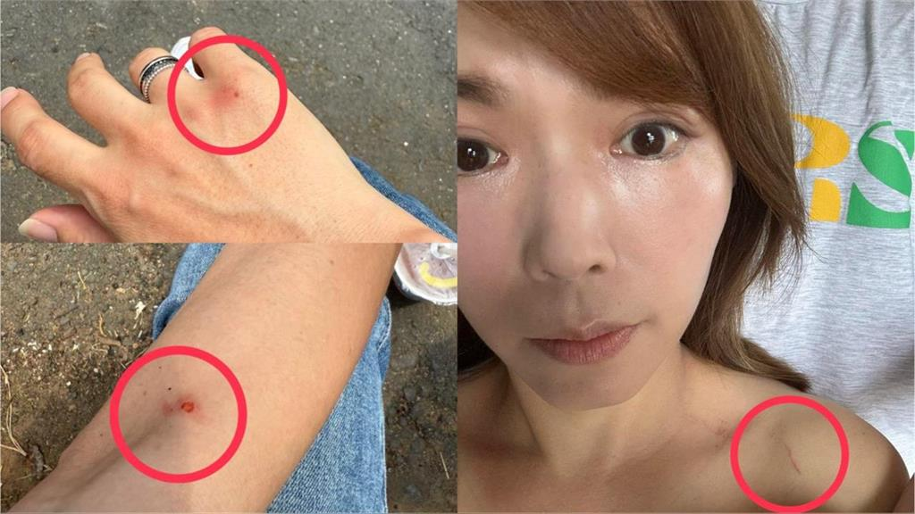 快新聞/走讀大走鐘!陳智菡竟稱「總統府變天安門」 許智傑轟噬血:有開坦克車鎮壓嗎