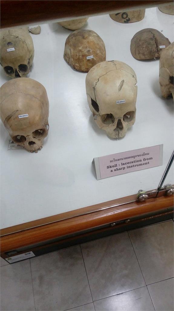 比南美館殭屍更恐怖！「死亡博物館」展出全是真遺體　還有食人魔木乃伊