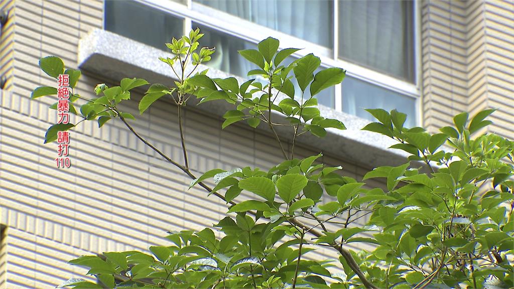 不滿遭勸分手!男半夜失控「持刀砍母姊」 爸爸急報警