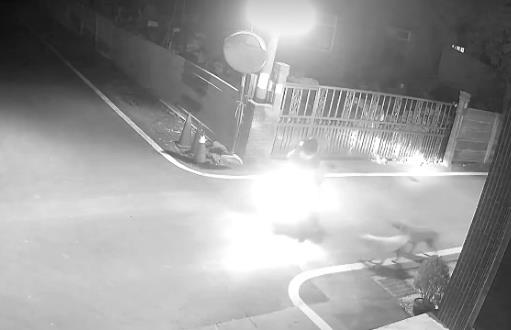 快新聞／彰化7旬婦遭3犬攻擊縫200針！養雞場飼主喊「不是我家狗」　家屬提告