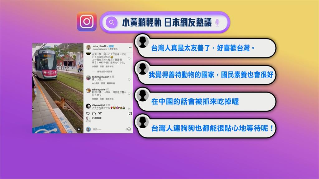 狗狗闖輕軌影片紅到日本 台灣人「這舉動」被讚溫柔