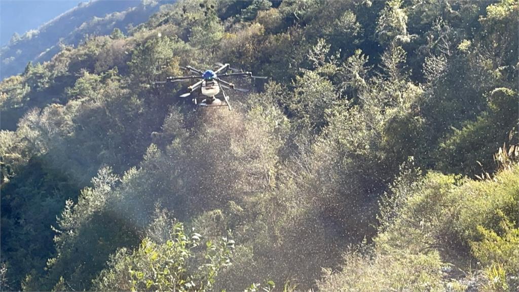 南投山區雨後易塌　首度出動無人機「播種2公頃」復育造林