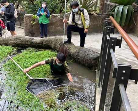 快新聞／男童滑手機跌進蓮花池　動物園：池畔設計原意非休息停留