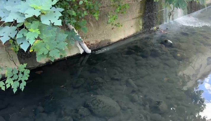 台中潭子溝渠大排驚見男嬰臍帶未斷　抱起時已無呼吸心跳　