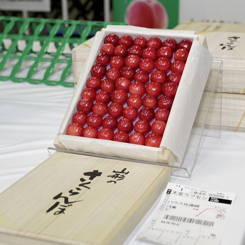 一口吞掉4千元!日本「紅寶石」佐藤錦櫻桃 拍賣130萬日幣創紀錄