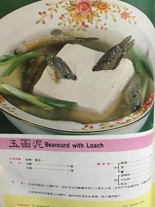 她翻40年前食譜驚見「泥鰍鑽豆腐」直喊暗黑料理!衝擊模樣嚇壞全網