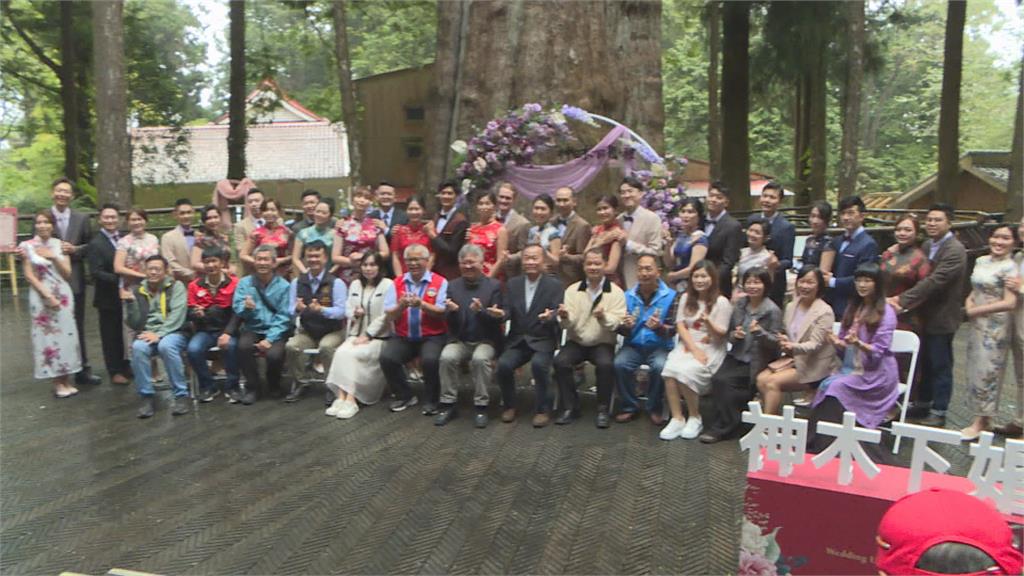 全台最高海拔森林系婚禮　16對海內外新人阿里山神木下互許終生
