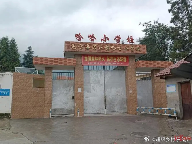 被問哪裡人他竟回「哈哈」!真相曝光讓人笑翻 誤會大了!被問哪裡人...他竟回「哈哈」超敷衍 真相曝光讓人笑翻