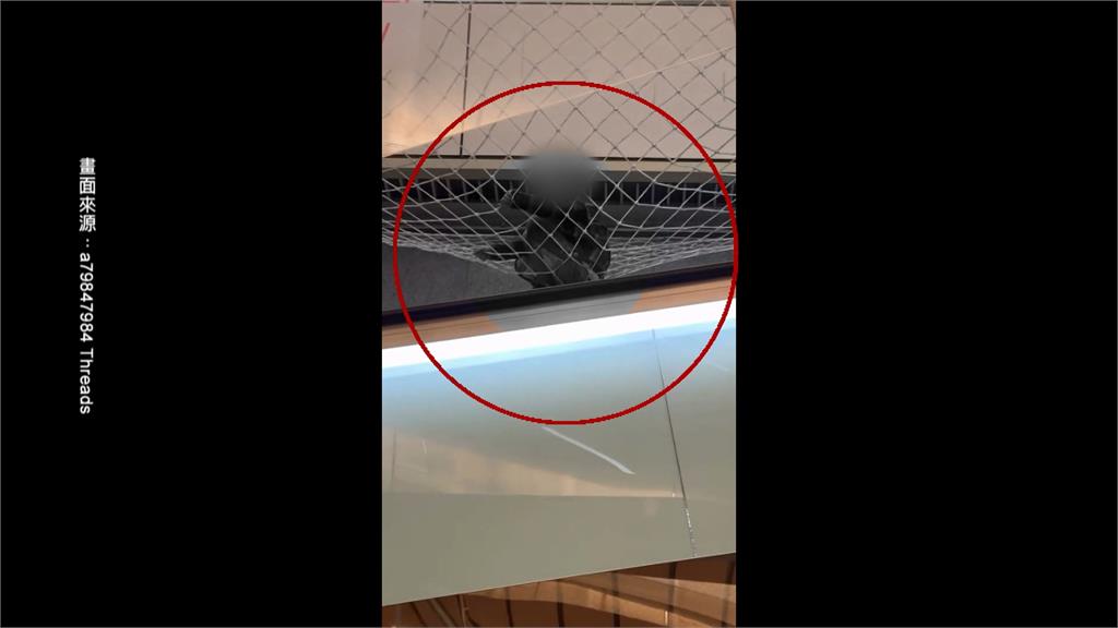 家長人呢?桃機男童翻越電扶梯 落「防護網」保命、消防出動救人