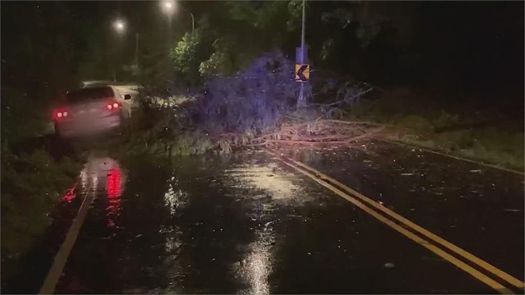 不堪強風吹襲　路樹倒塌阻斷機車道交通 