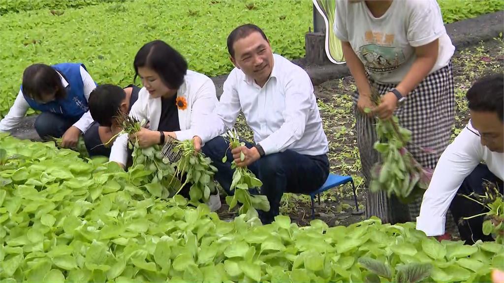 賴清德打保齡球「藍白」全倒 批侯餵藥案反應慢