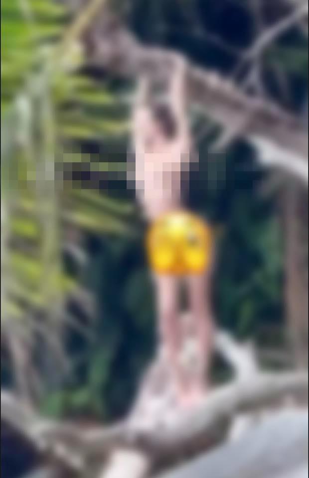 海邊驚見長腿正妹「脫光拍裸片」!不理釣客「掛樹上挺出大椰子」模糊現場照曝光