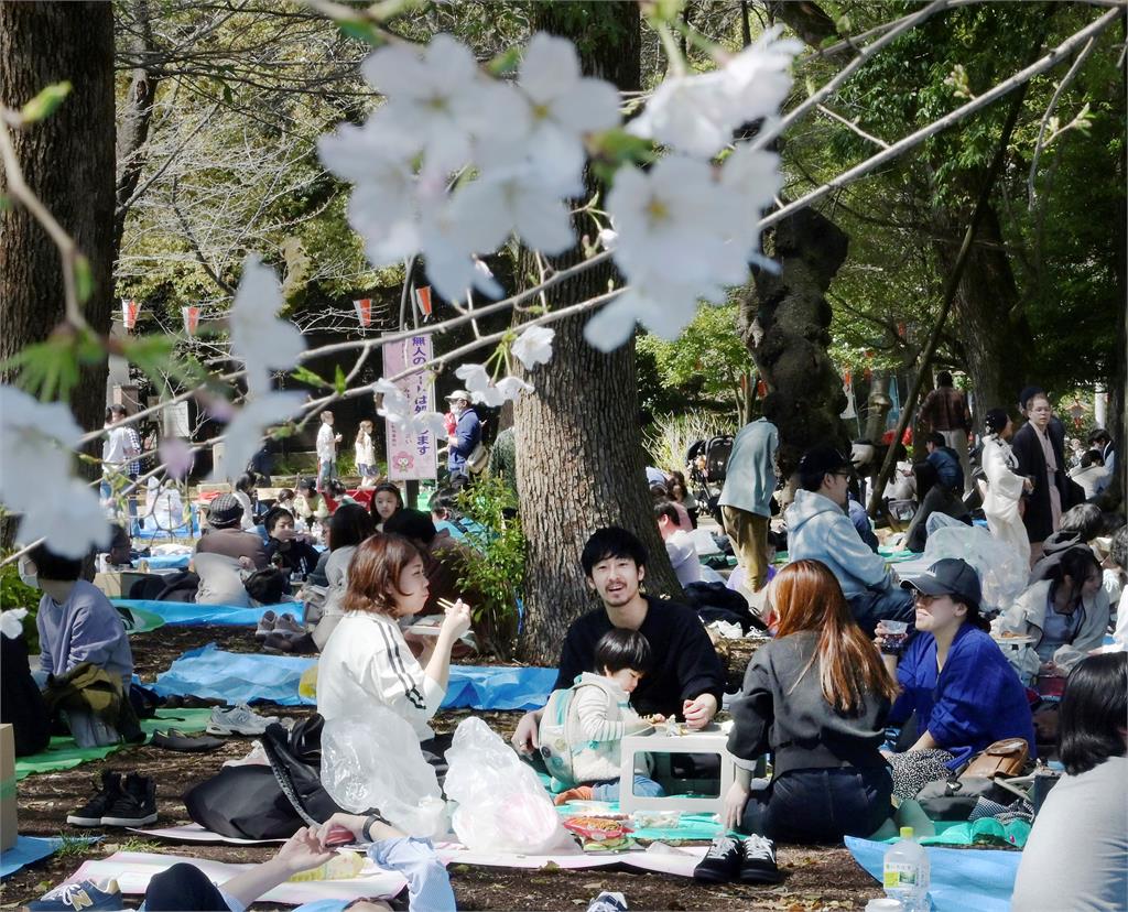 達到夏日標準！東京都心飆破25度　當地櫻花終於開花