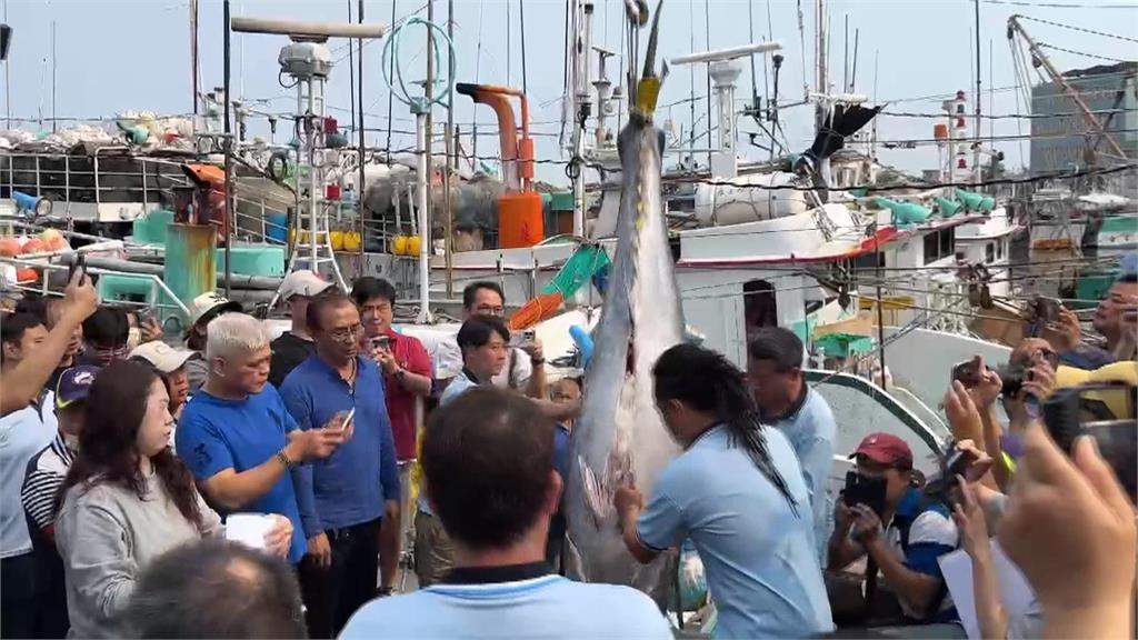 2026屏東第一鮪報到! 67歲船長"歪打正著"捕中黑鮪魚