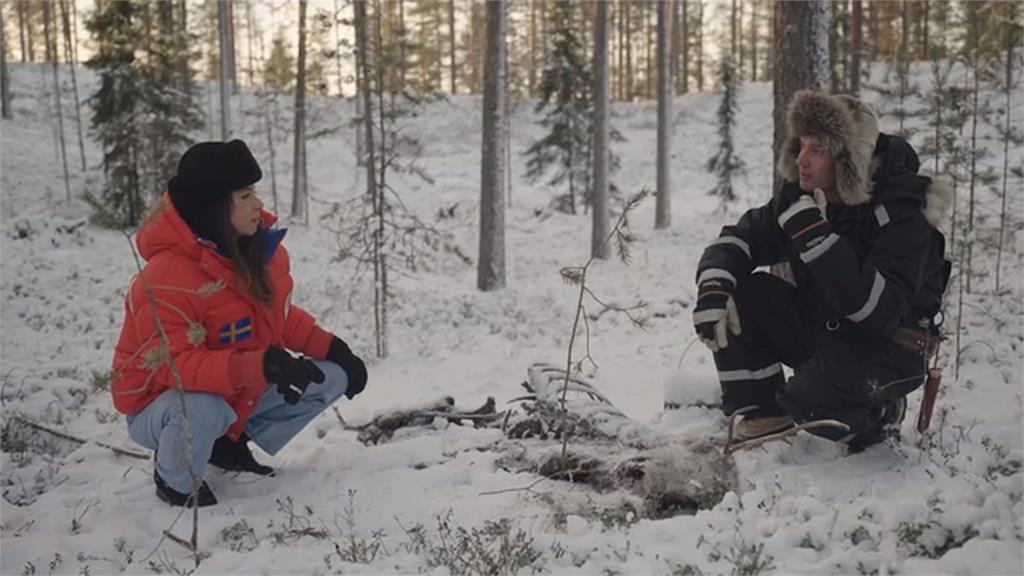 俄烏戰爭波及北極圈 俄狼越界吃芬蘭馴鹿