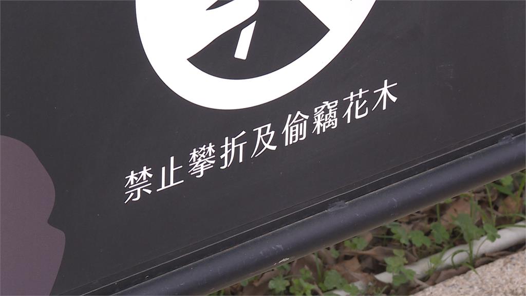 男竟趁台北玫瑰園晚間無人 蹲人行道偷土