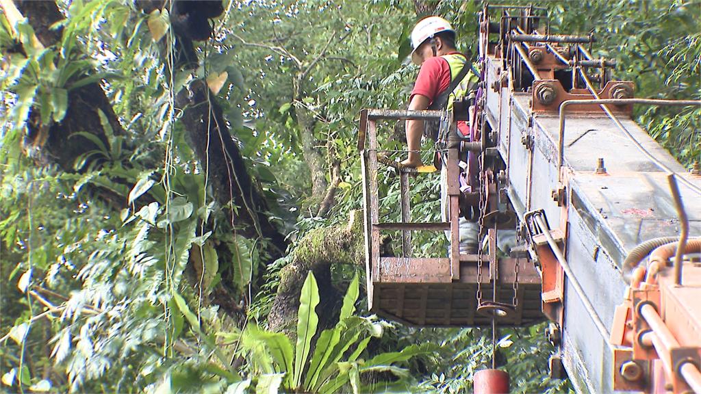 北市南港土石坍方!百年大樹滑落 違章住戶遭波及嚇壞:不敢住了