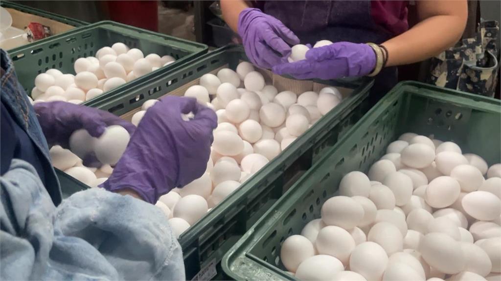 雞蛋批發價每台斤飆至52元　陳吉仲：「2方面」解決蛋量不足問題