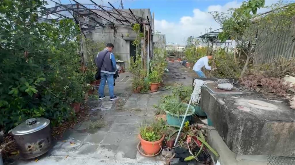 頂樓種植栽不修剪 根莖亂竄害整棟樓漏水