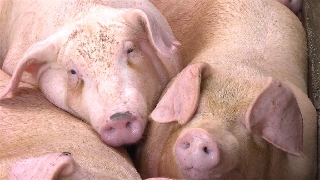 27項農產品進口不降稅 農民大讚:吃了一顆定心丸