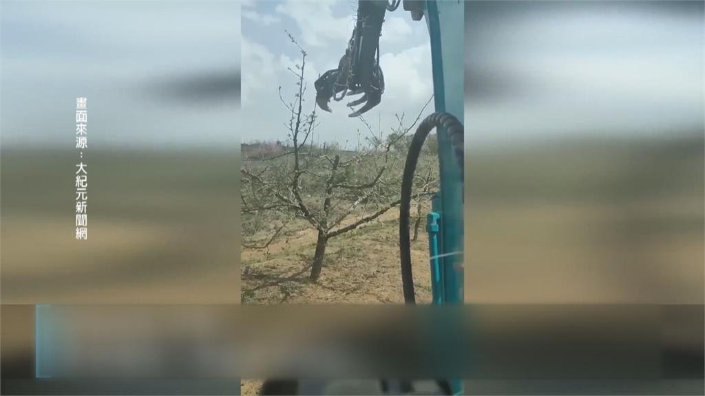 重回大煉鋼時代? 中國農民被迫山坡種水稻、水泥地種地瓜