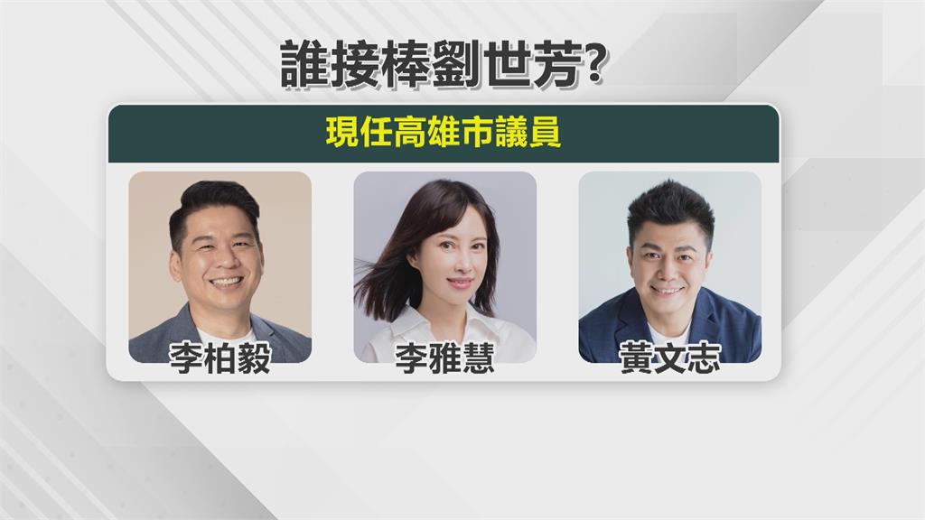 綠營誰接棒劉世芳左楠區立委? 藍軍5人表態選搶進國會