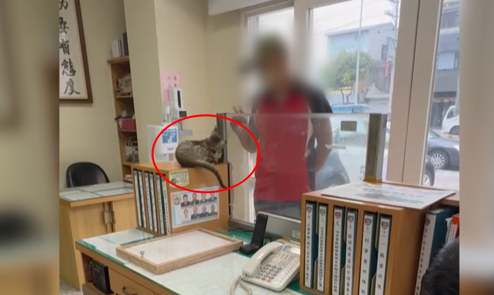 搶救!引擎室喵~不停 警掏「伍丼么肉泥」小貓秒鑽出