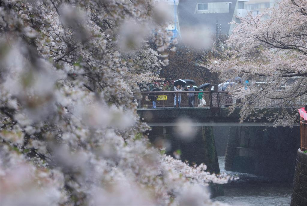 低壓+鋒面！日本強風暴雨　北海道降四月雪、富士現雪泥流