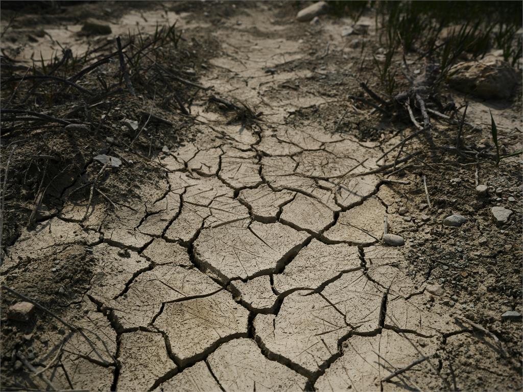 「0705大地震」引發不安⋯外國人不敢到日本!70歲預言漫畫家回應了
