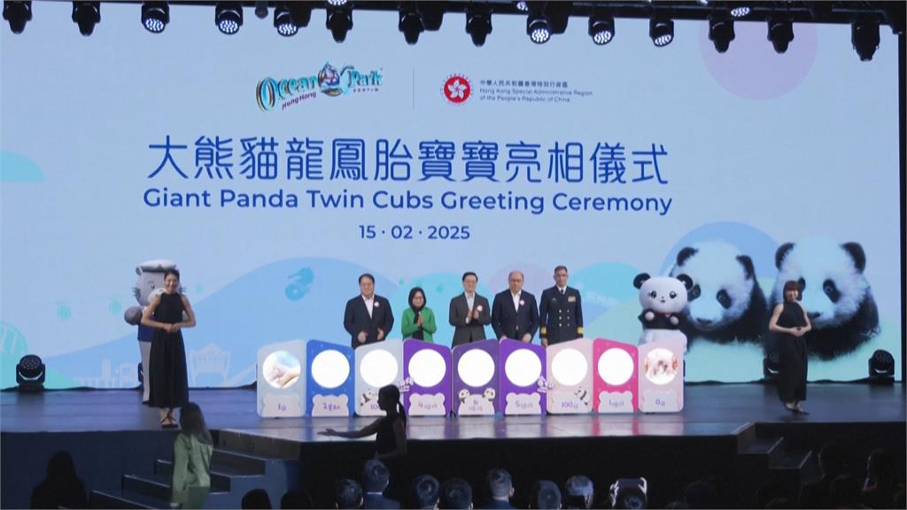 香港龍鳳胎貓熊週日正式亮相 媒體先睹為快
