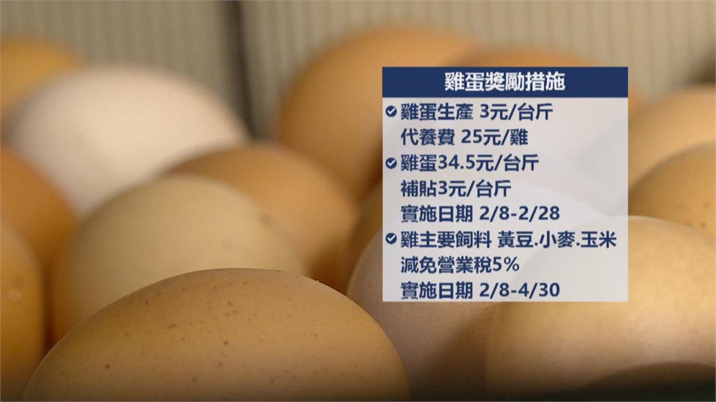 獎勵生產雞蛋! 農委會補助蛋農每台斤3元