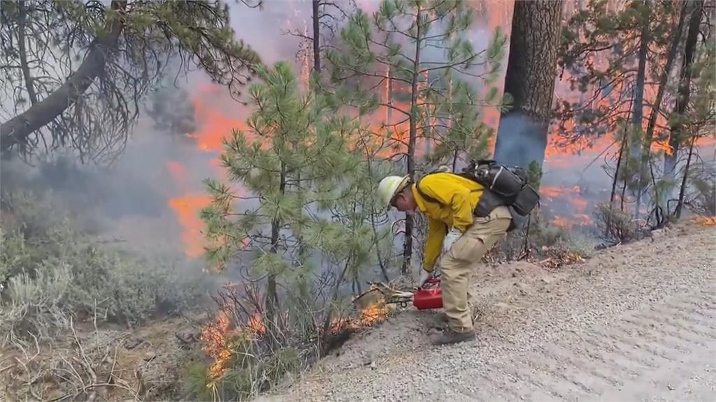 近300處火點野火蔓延　加拿大卑詩省進入緊急狀態