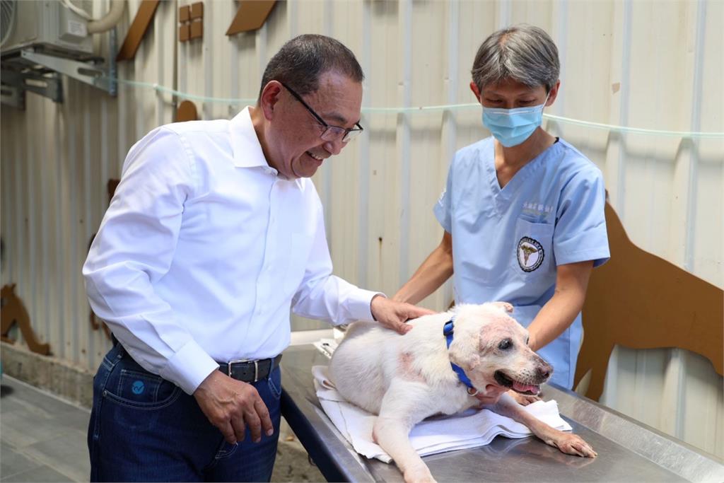 快新聞／領養代替購買！新北中和動物之家轉型全國首座長照園區　推醫療照護優惠