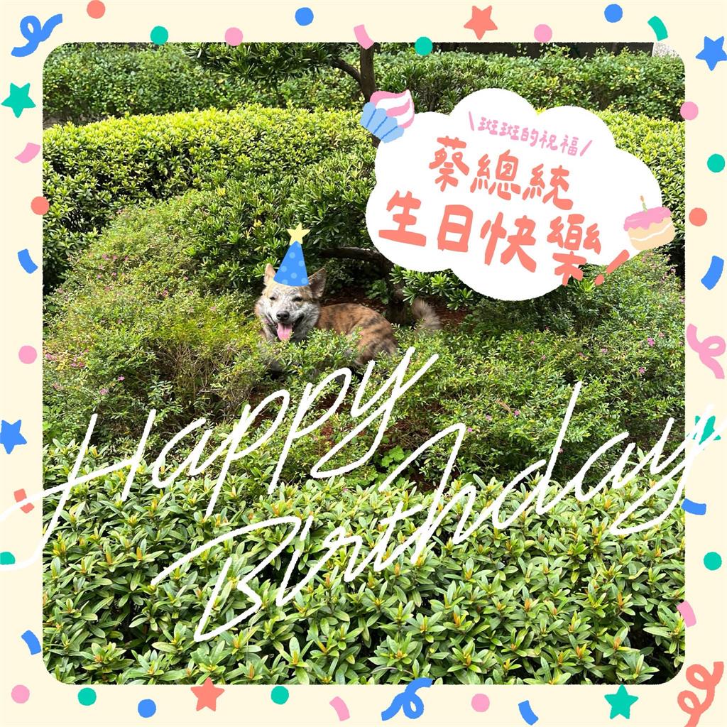 快新聞／蔡英文70歲生日驚喜！賴清德發文祝壽：謝謝你為台灣打下的基礎