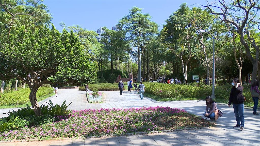 全台5G網速最快公園實測!這地快破千Mbps 網笑:找好位置盯盤